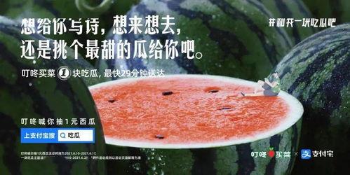 摘瓜吃瓜的文案怎么写,尽享夏日清凉时光