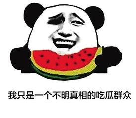 网络实时吃瓜,网络吃瓜群众的热议焦点