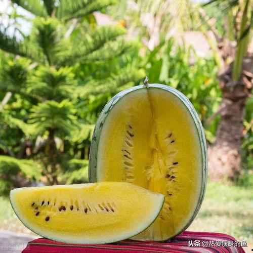 灯泡瓜怎么吃,解锁美味新体验