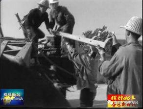 费县吃瓜事件始末,一场网络舆论的风波与反思