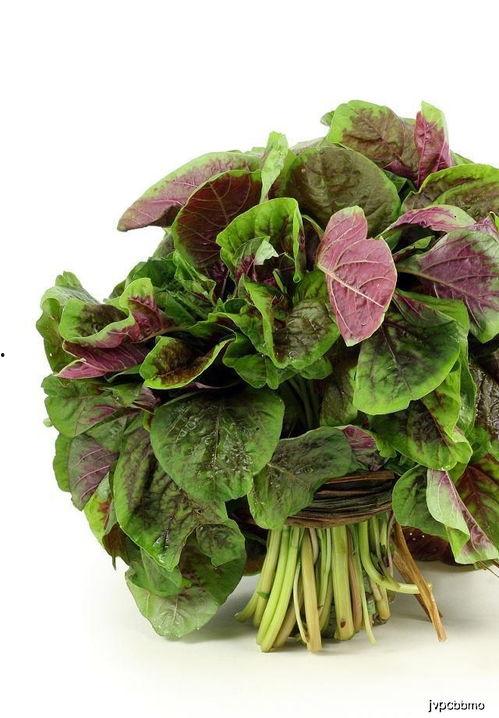 吃哈密瓜和苋菜会中毒吗,哈密瓜与苋菜同食中毒风险解析