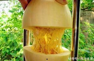 长瓢瓜怎么吃,探索美味与营养的完美结合
