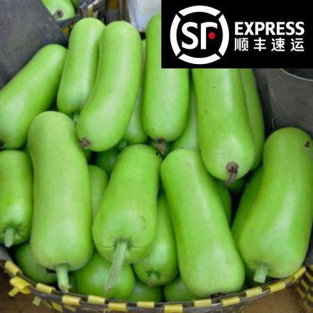 长瓢瓜怎么吃,探索美味与营养的完美结合