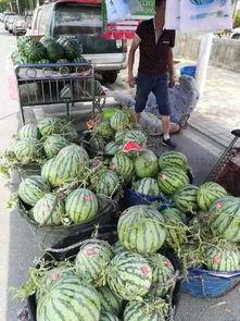 郎溪网红吃瓜事件,揭秘网络舆论背后的真相与争议