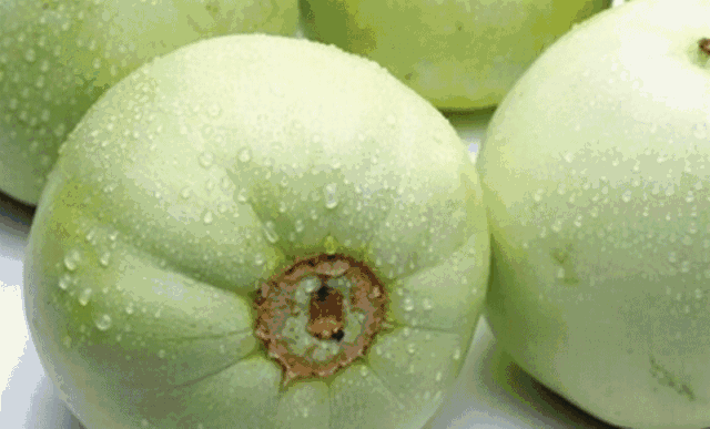 一瓜两吃的香瓜,香瓜美食新体验