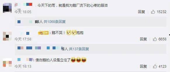 网络QQ吃瓜群,网络社交的“瓜田”盛景