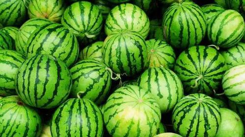 芜职最新吃瓜,最新吃瓜事件大揭秘