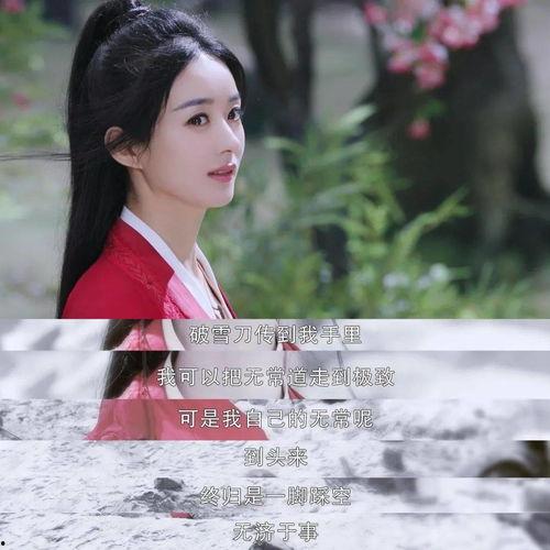 追剧式吃瓜,跟随剧情吃瓜,揭秘娱乐圈幕后风云