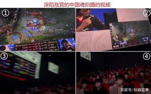 edg夺冠flag吃瓜,flag吃瓜盛宴来袭!