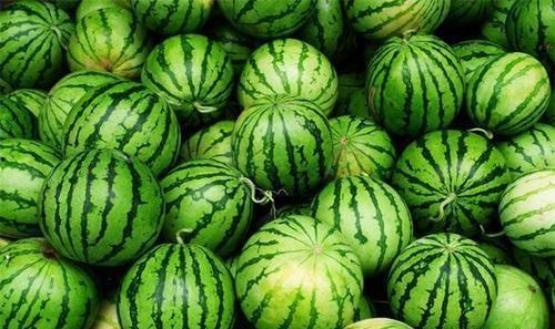 今日吃瓜入口,热点事件背后的真相与笑料