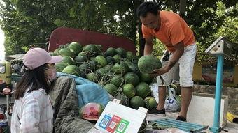 济宁吃瓜视频,一网打尽本地新鲜趣事