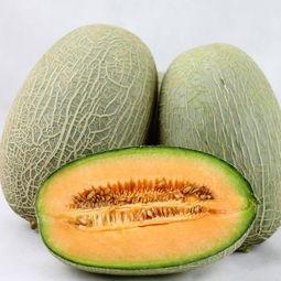 夏天吃哈密瓜好吗,哈密瓜的清凉诱惑
